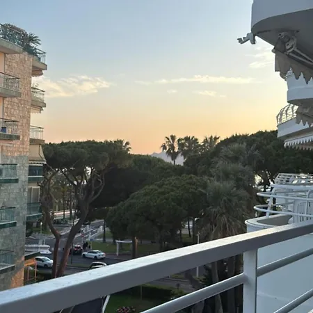 Lion's Croisette